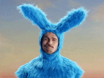 Der Nice zu Tieren-Song 